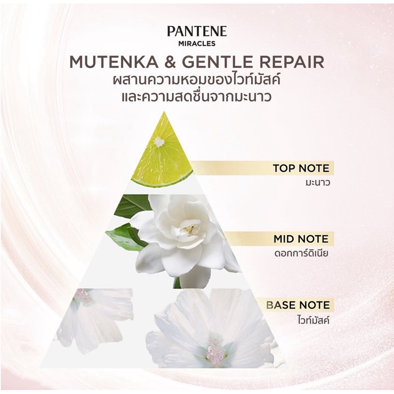 [NEW] Dầu gội-xã PANTENE Thái Lan Treatment Miracles Bond Repair Moisture/Mutenka-duoc-ban-tai-Alice Boutique