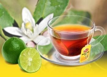 Lipton nóng-duoc-ban-tai-NHÂN VIP COFFEE