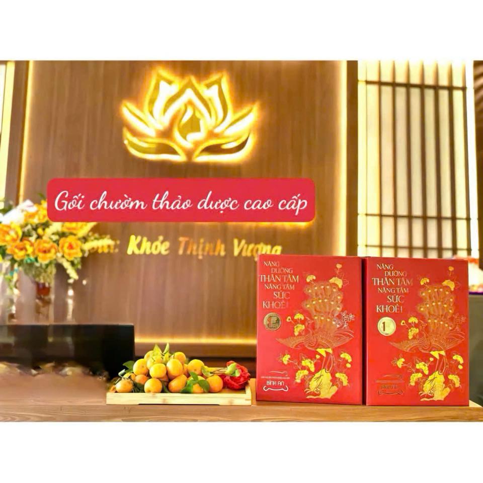 Gối trị liệu thảo dược cao cấp-duoc-ban-tai-Diệp Phong Chữa Lành