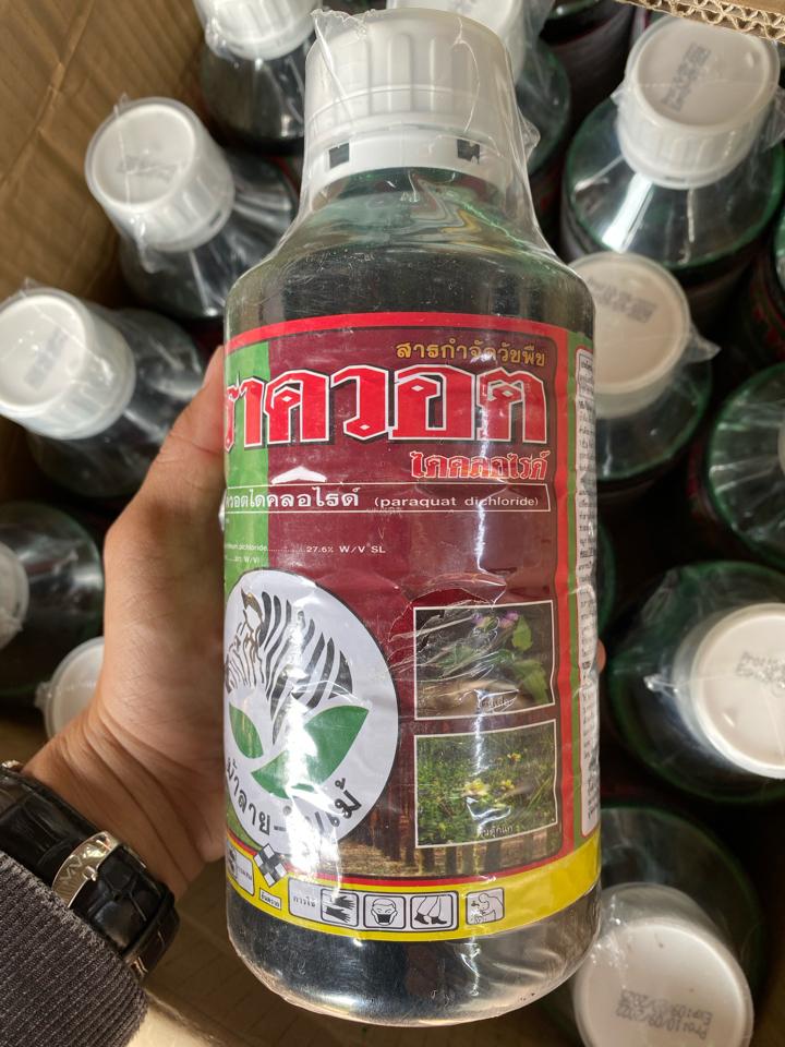Cỏ cháy Con Ngựa Thái 1 lít-duoc-ban-tai-CHUỐI HỘT
