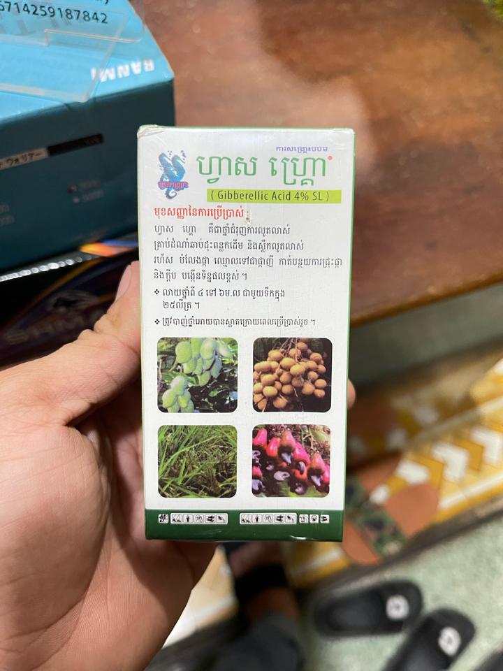 Ga3 SL UT-duoc-ban-tai-CHUỐI HỘT
