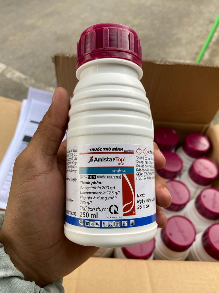 AMISTARTOP -duoc-ban-tai-CHUỐI HỘT