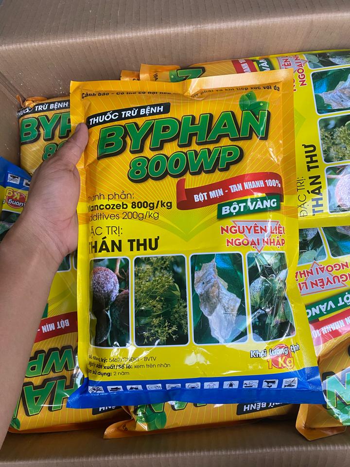 BYPHAN 800WP gói 1kg-duoc-ban-tai-CHUỐI HỘT