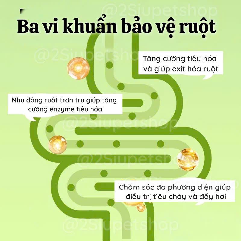 Bột Dinh Dưỡng Gjo -duoc-ban-tai-2Siupetshop