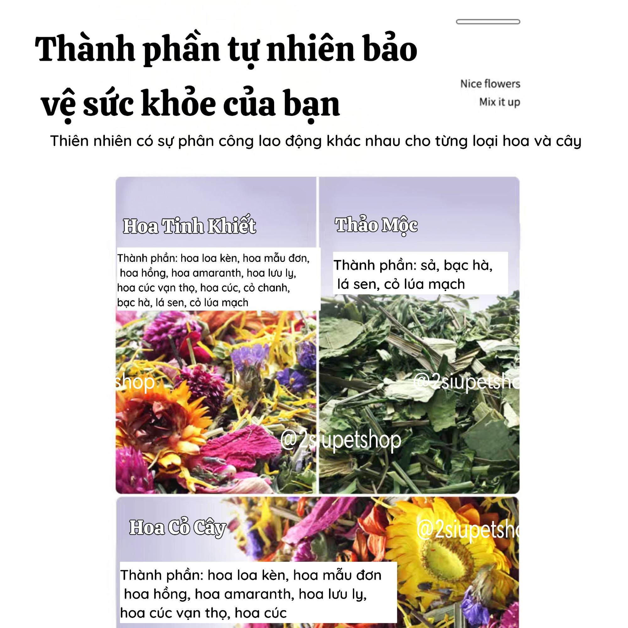 Hoa rải chuồng Mooi -duoc-ban-tai-2Siupetshop