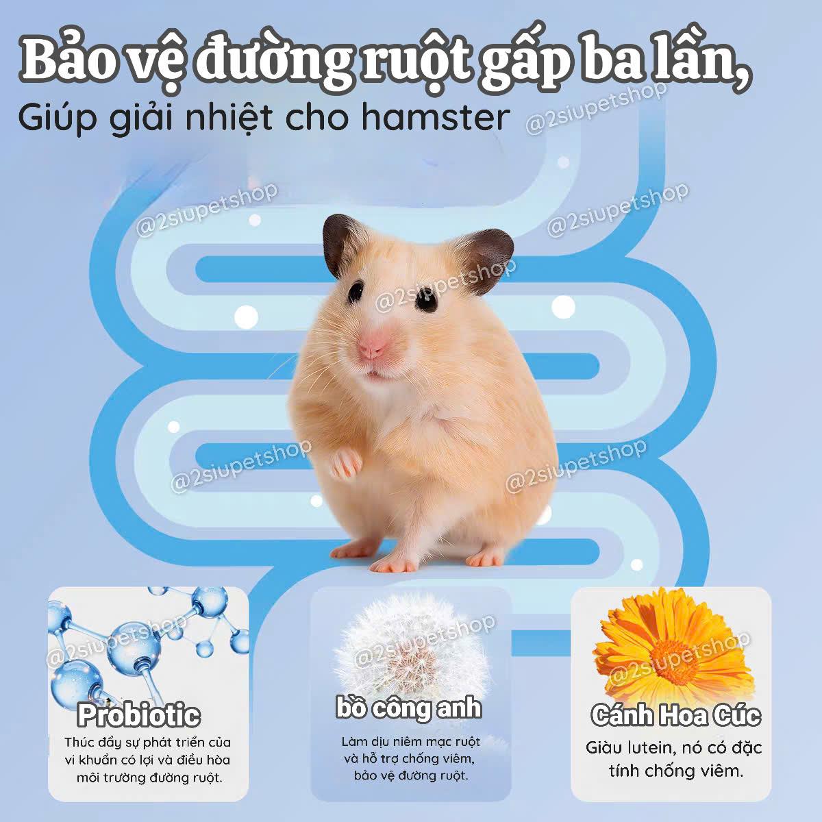 [ belgi ]Thức ăn cho chuột hamster kết hợp chim bồ câu hoang dã bổ sung10 tỷ lợi khuẩn ,giúp đẹp lông -420g-duoc-ban-tai-2Siupetshop