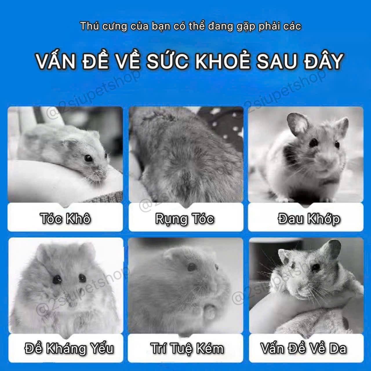 Dầu cá Guaijuan-duoc-ban-tai-2Siupetshop