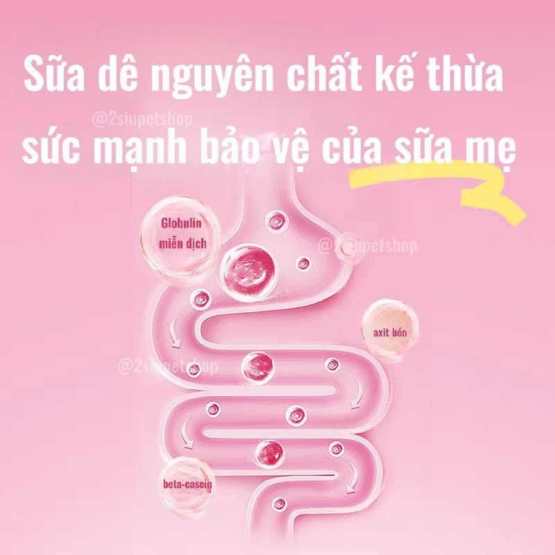 Chân gấu Phô Mai Sữa dê  Yee-duoc-ban-tai-2Siupetshop