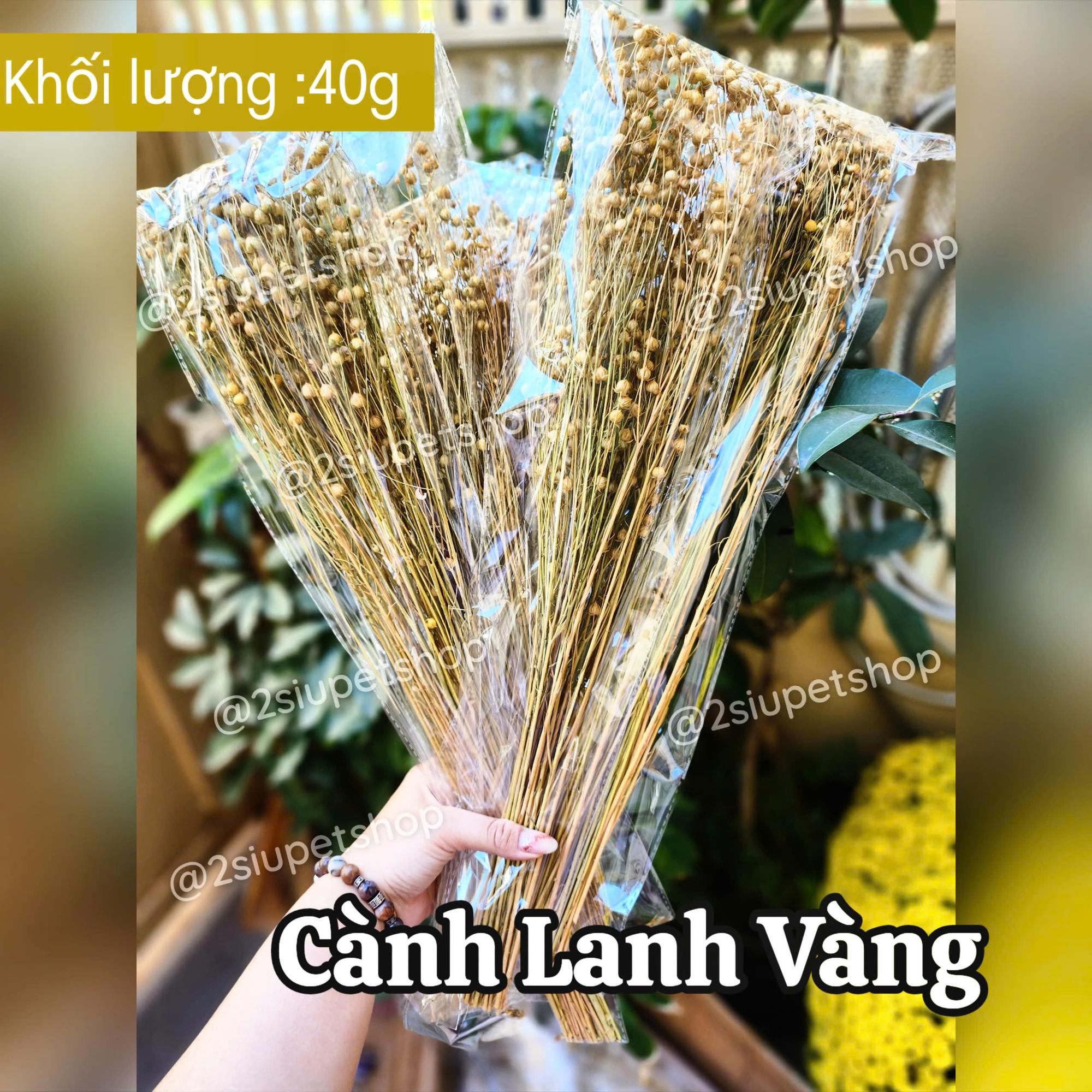 40g Lanh Vàng -duoc-ban-tai-2Siupetshop