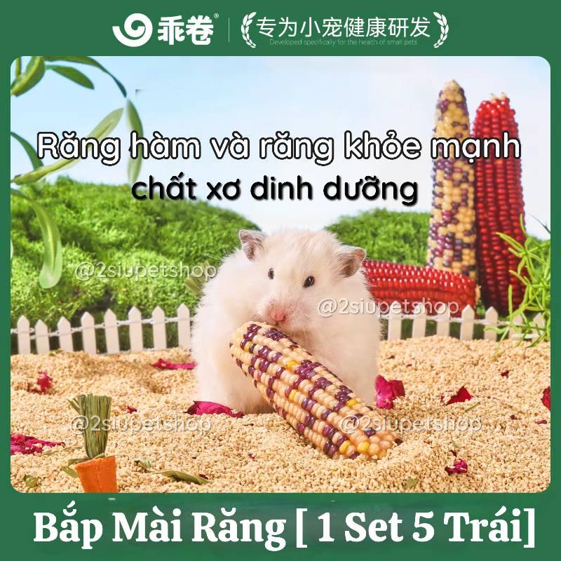 Set Bắp Mài Răng 5 Trái Gjo-duoc-ban-tai-2Siupetshop