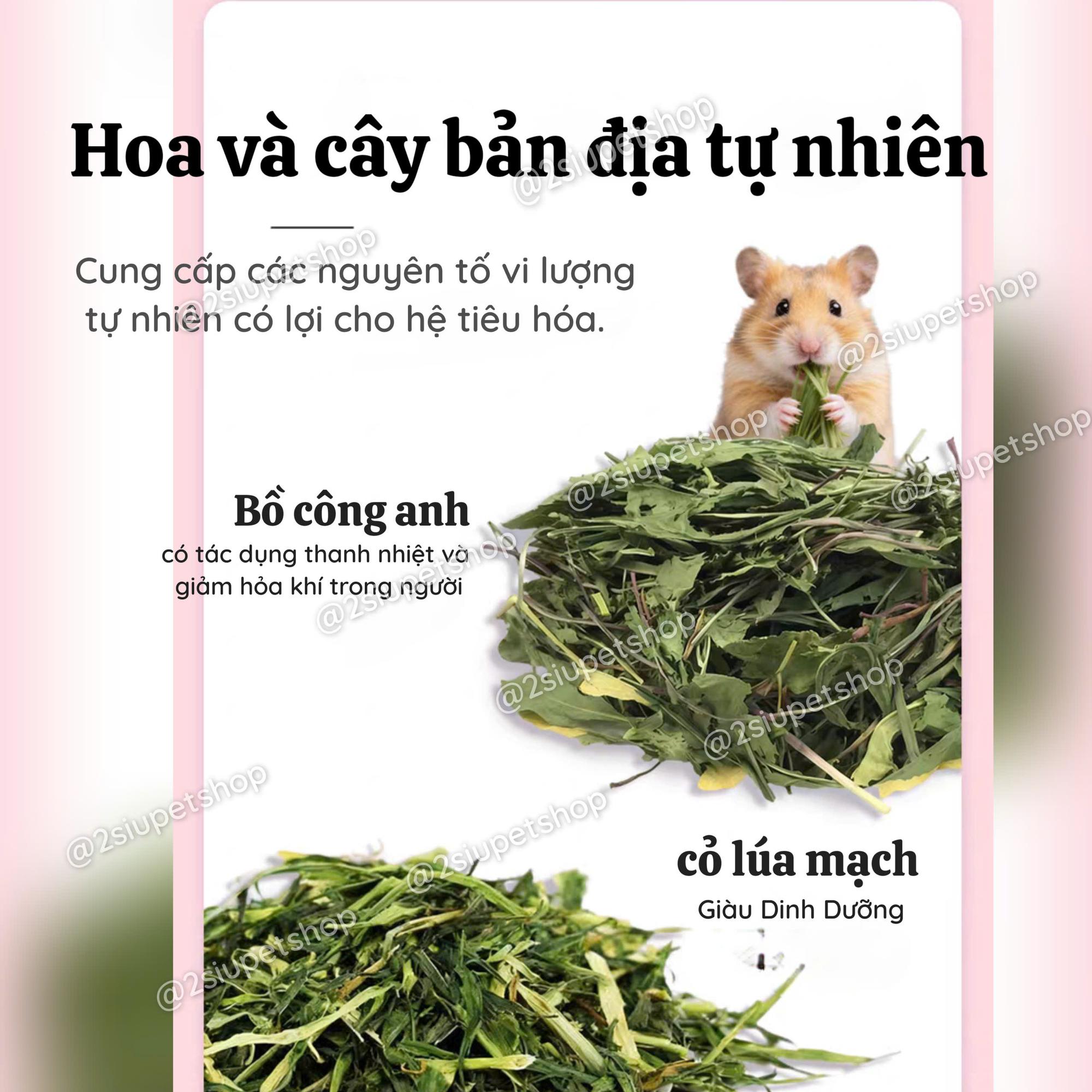 DK JESSI Xanh NEW [ HỦ 500G] -duoc-ban-tai-2Siupetshop