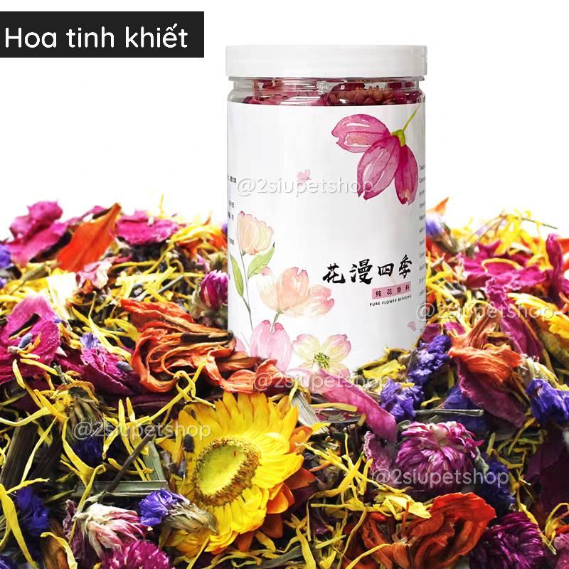 Hoa rải chuồng Mooi -duoc-ban-tai-2Siupetshop