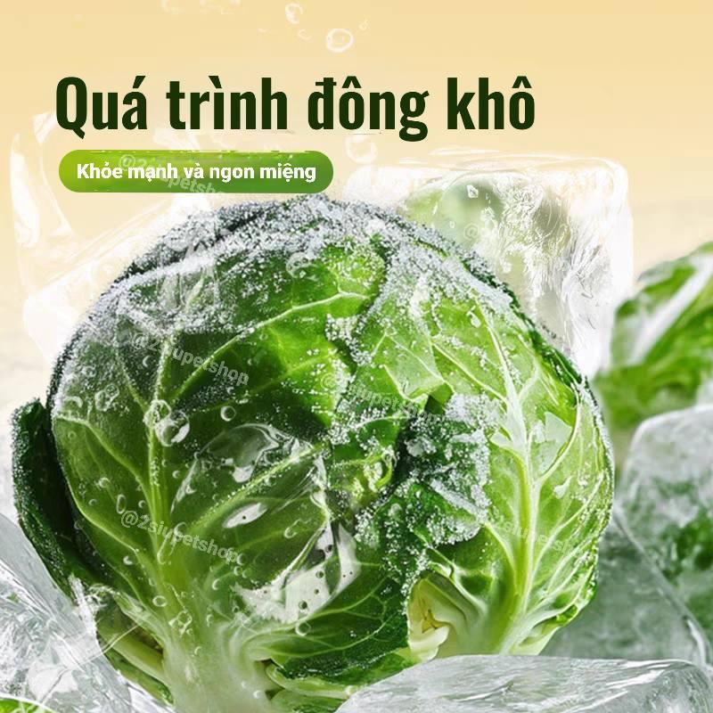 Bắp cải sú  bucatstate-duoc-ban-tai-2Siupetshop