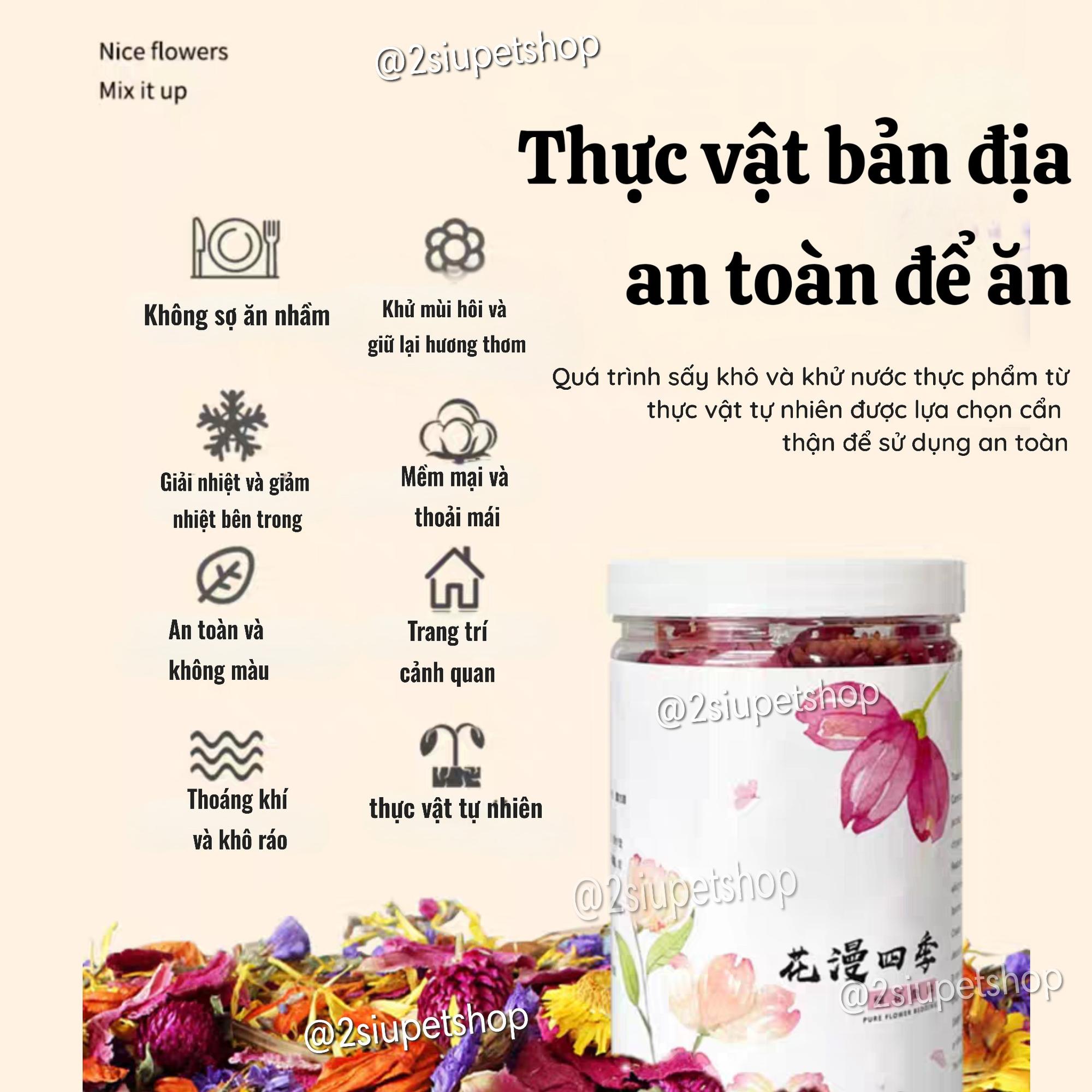 Hoa rải chuồng Mooi -duoc-ban-tai-2Siupetshop