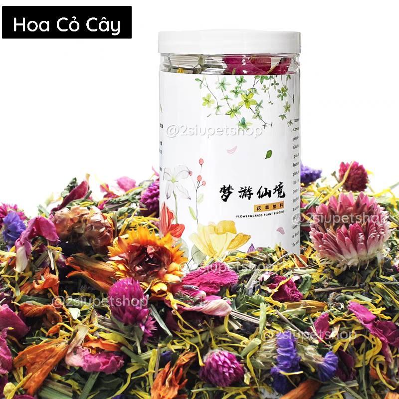 Hoa rải chuồng Mooi -duoc-ban-tai-2Siupetshop