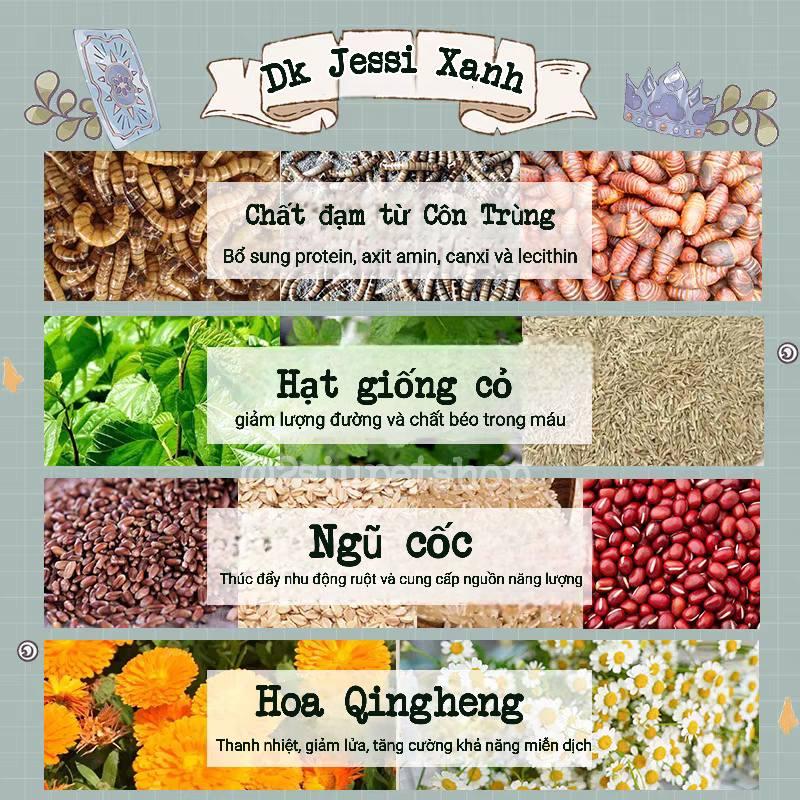 DK Jessi [ Hồng / Xanh] - 600g-duoc-ban-tai-2Siupetshop