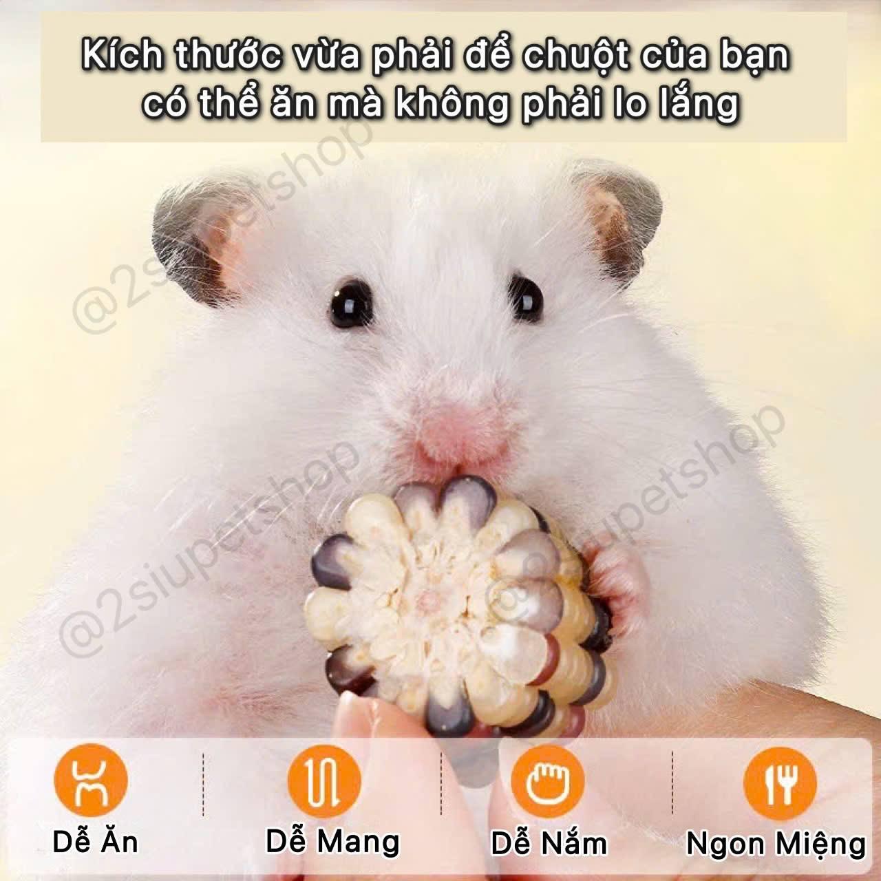 Bắp mài Răng Khoanh Bucatstate -duoc-ban-tai-2Siupetshop