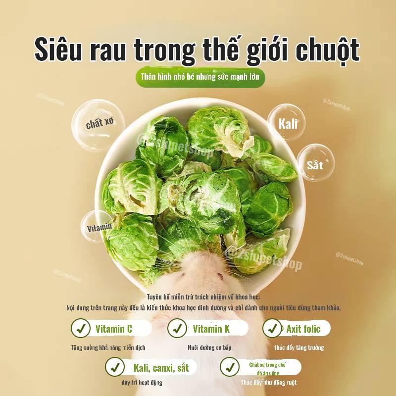 Bắp cải sú  bucatstate-duoc-ban-tai-2Siupetshop