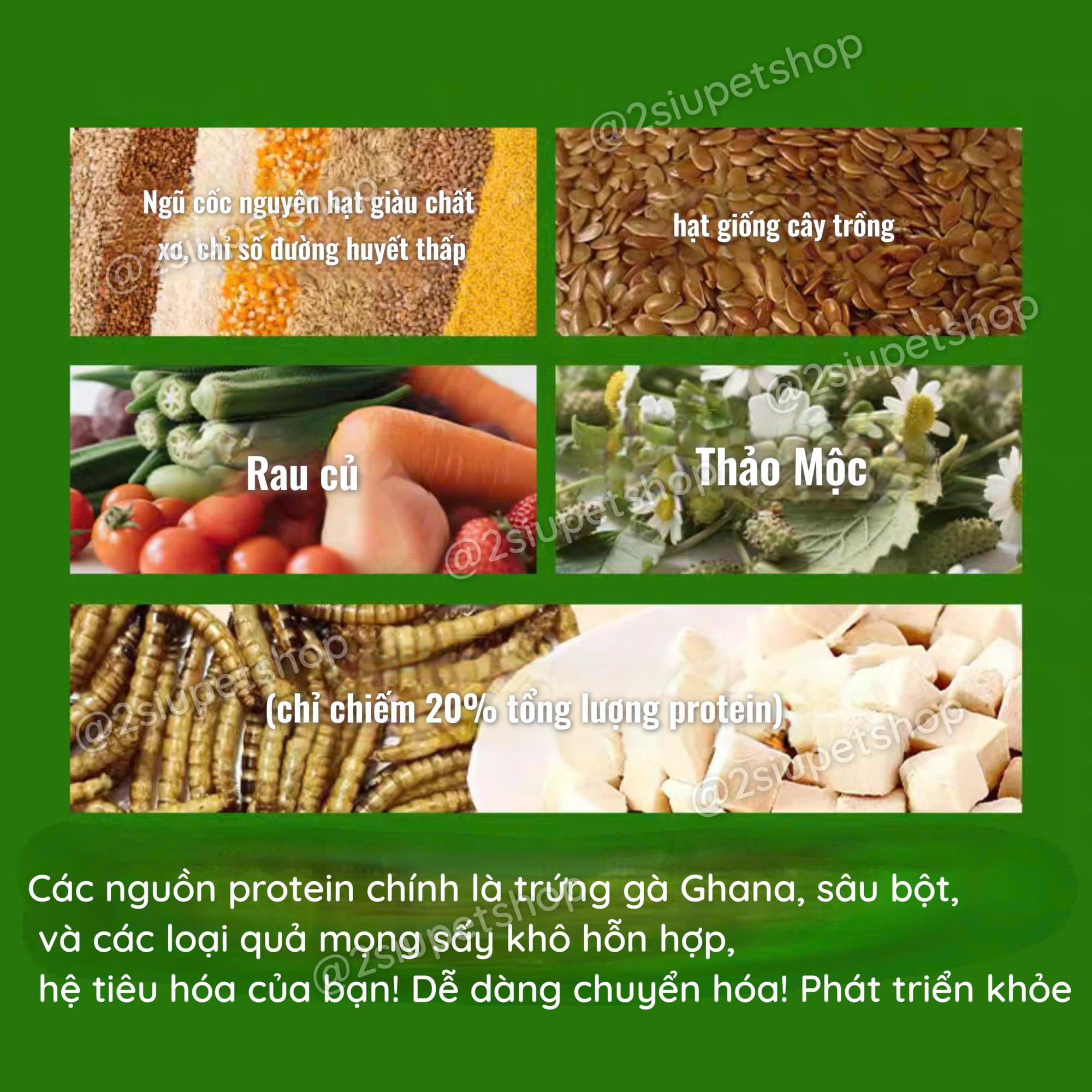 Dk Jessi Berry -480g-duoc-ban-tai-2Siupetshop