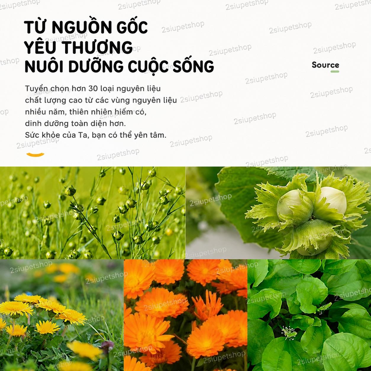 Tafit Mini / Bear- Full [ 600g]-duoc-ban-tai-2Siupetshop