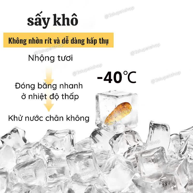 [ belgi] Nhộng tằm sấy - 40g-duoc-ban-tai-2Siupetshop