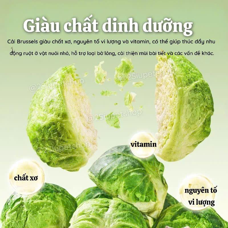 Bắp Cải Mini -Gjo [20g]-duoc-ban-tai-2Siupetshop