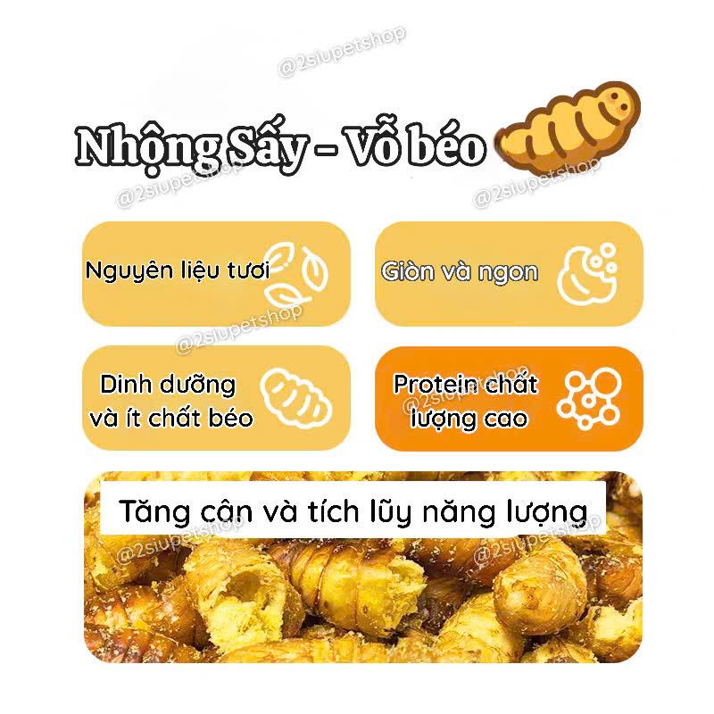 [ belgi] Nhộng tằm sấy - 40g-duoc-ban-tai-2Siupetshop