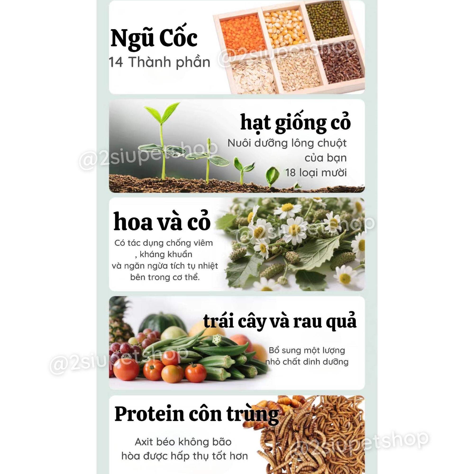 DK JESSI Xanh NEW [ HỦ 500G] -duoc-ban-tai-2Siupetshop