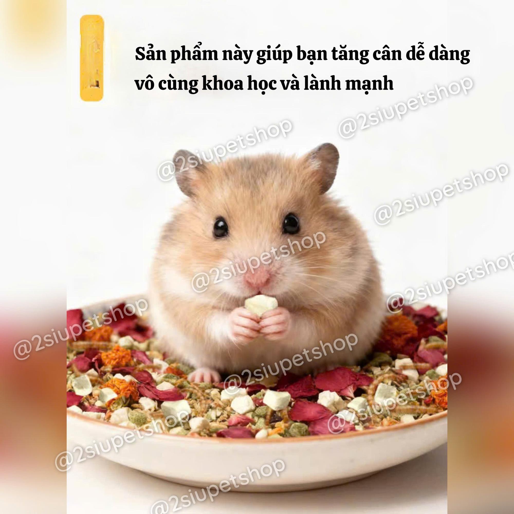[ Nội Địa Trung 09]Thức ăn chính tổng hợp đầy đủ từ rau củ , thảo mộc, mài răng thịt đạm một cách hoàn chỉnh nhất cho mọi dòng hamster-500g-duoc-ban-tai-2Siupetshop