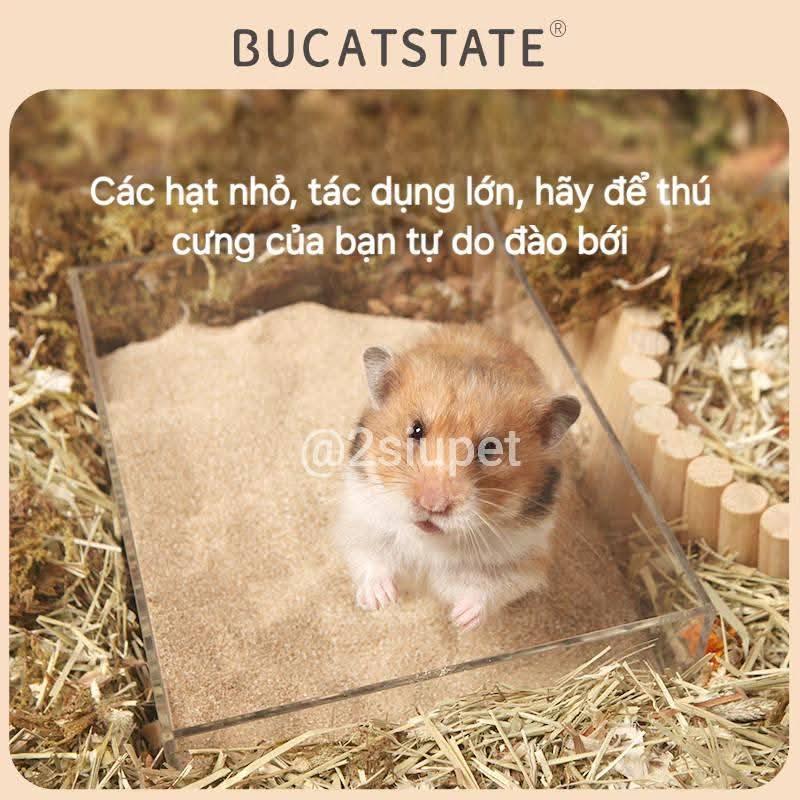 Cát Sa mạc Bucatstate -duoc-ban-tai-2Siupetshop