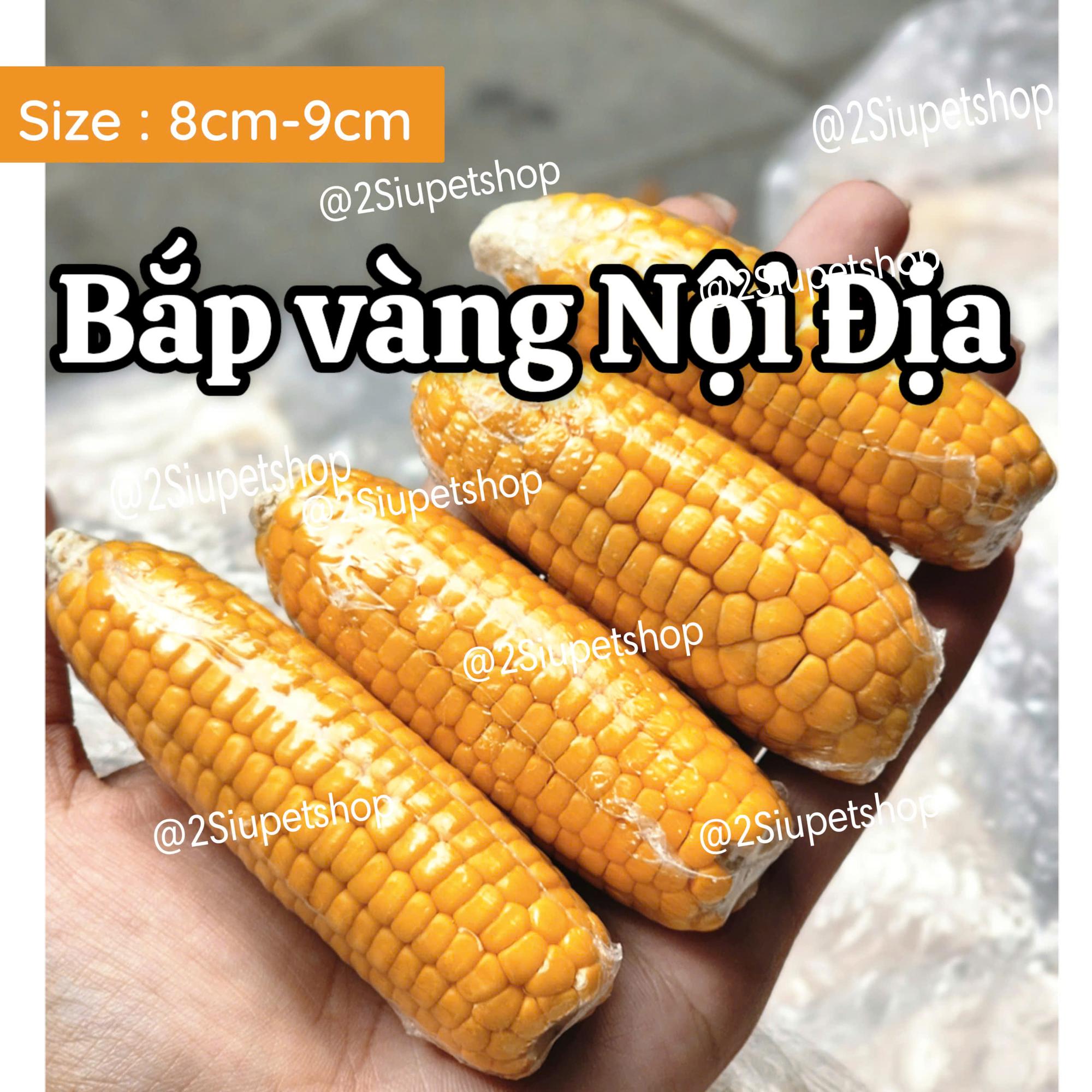Bắp Vàng mài răng nội địa [ size 8-9cm]-duoc-ban-tai-2Siupetshop