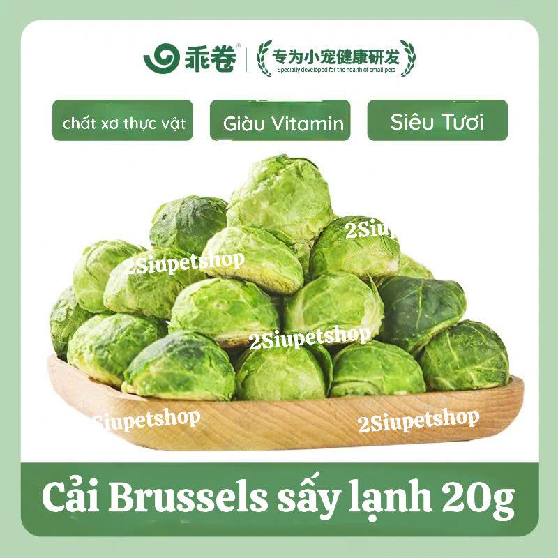 Bắp Cải Mini -Gjo [20g]-duoc-ban-tai-2Siupetshop