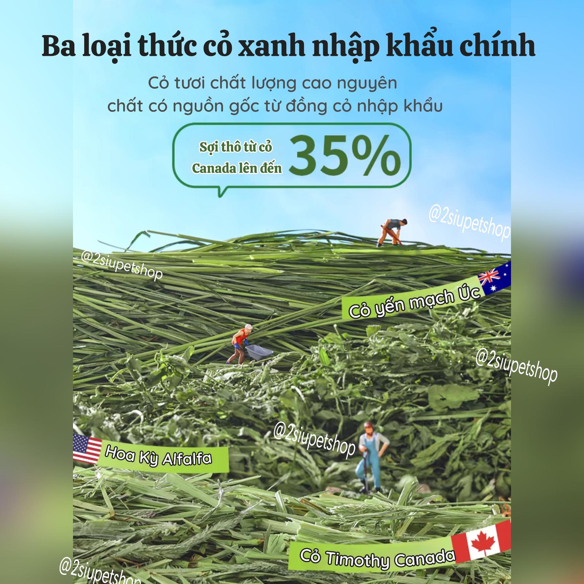 Bánh quy mài răng mix 3 Loại cỏ 3  trái cây Gua-duoc-ban-tai-2Siupetshop