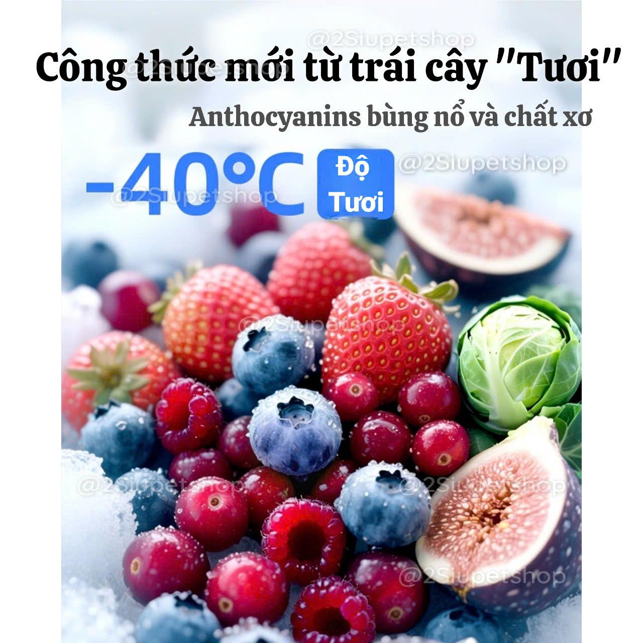 Thức ăn Tafit Trái Cây Đông Khô ] - 450g-duoc-ban-tai-2Siupetshop