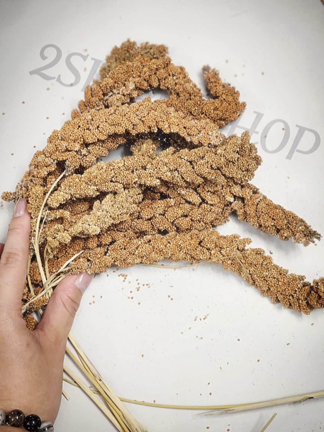 100g Kê Chùm-duoc-ban-tai-2Siupetshop