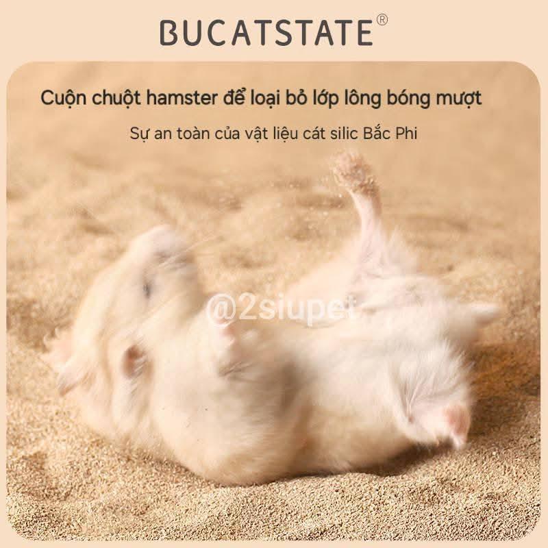 Cát Sa mạc Bucatstate -duoc-ban-tai-2Siupetshop