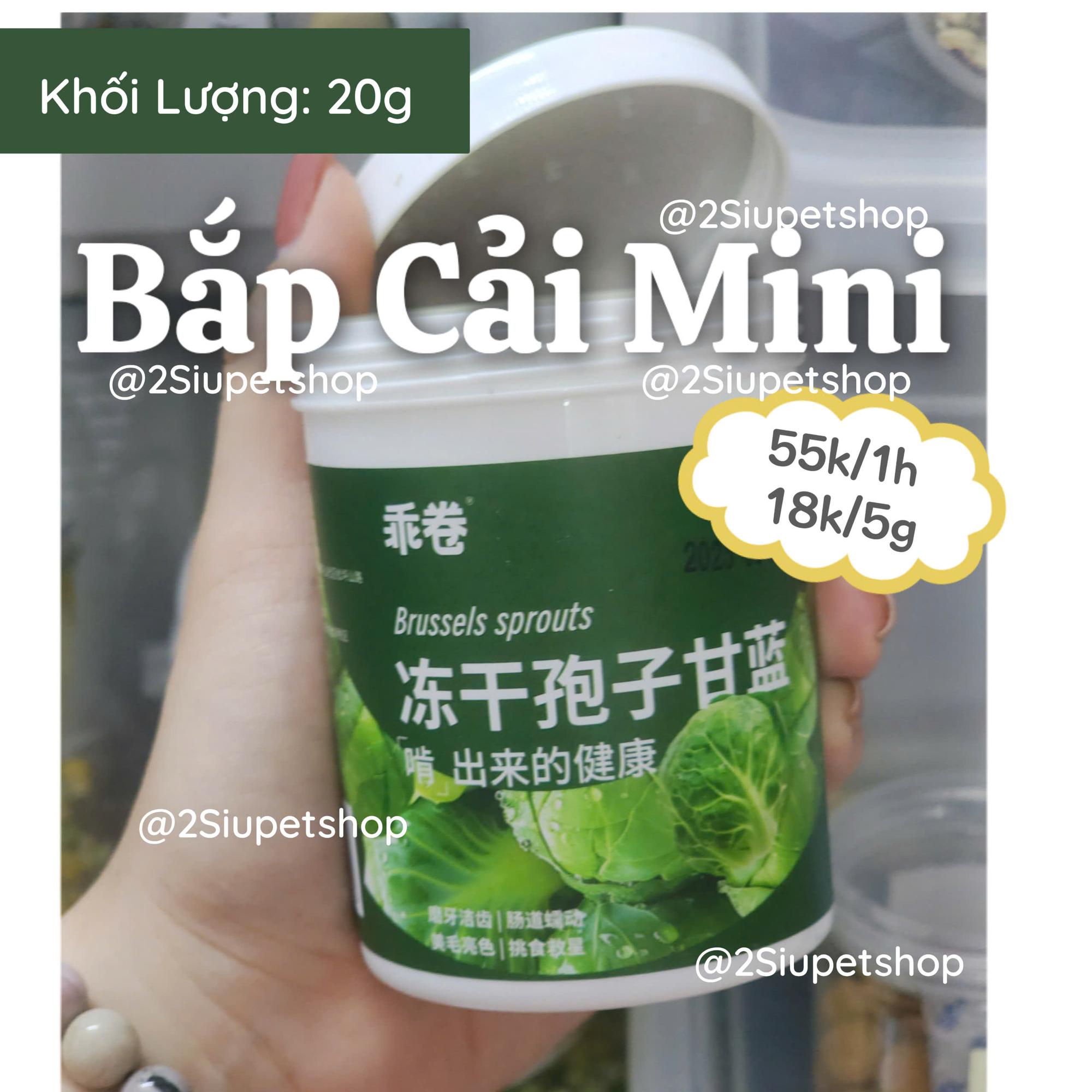 Bắp Cải Mini -Gjo [20g]-duoc-ban-tai-2Siupetshop