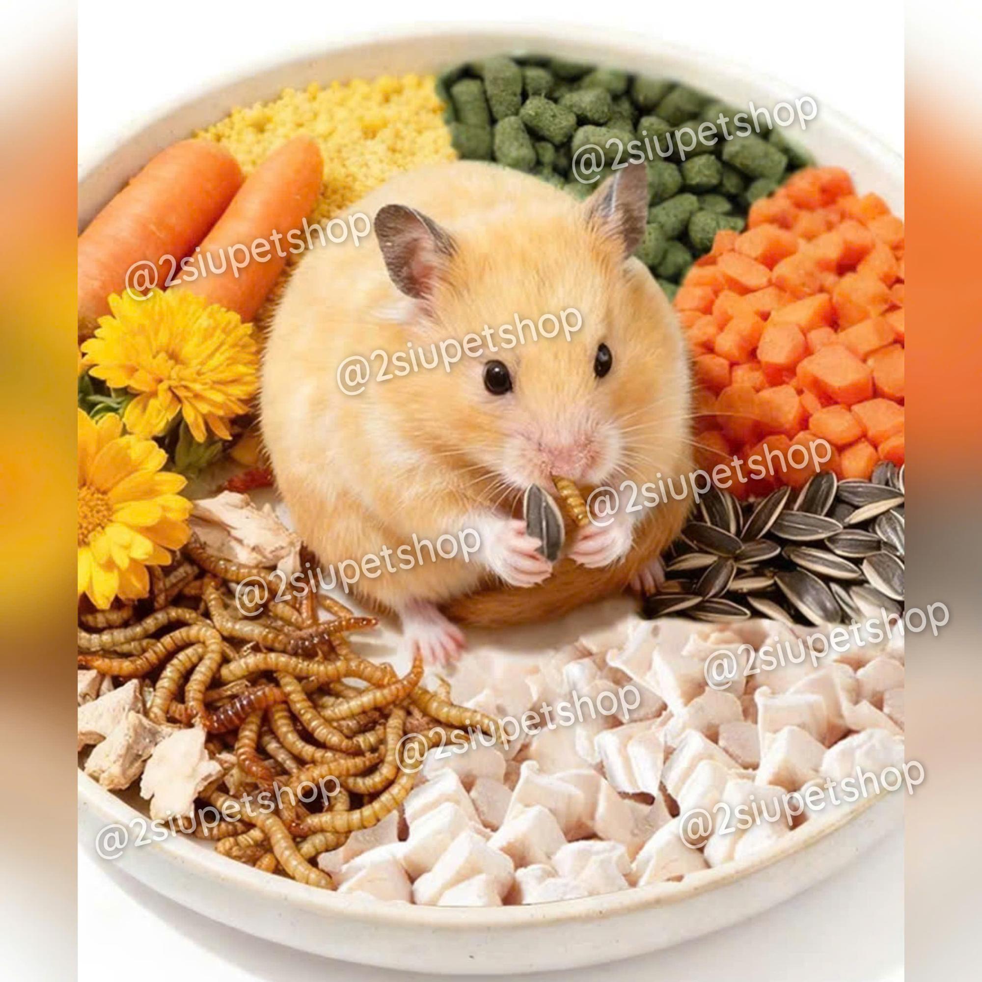 [ Nội Địa Trung 09]Thức ăn chính tổng hợp đầy đủ từ rau củ , thảo mộc, mài răng thịt đạm một cách hoàn chỉnh nhất cho mọi dòng hamster-500g-duoc-ban-tai-2Siupetshop