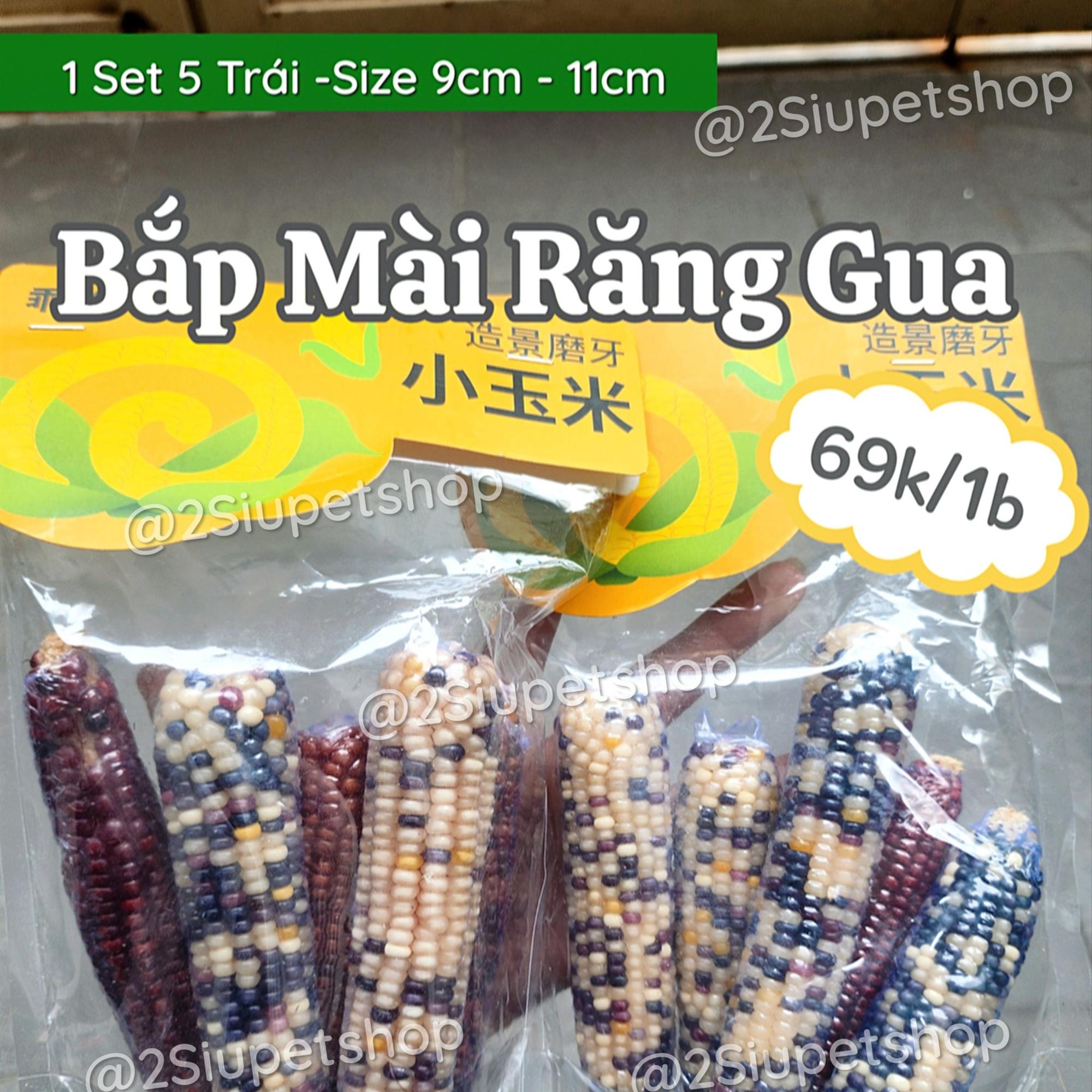 Set Bắp Mài Răng 5 Trái Gua-duoc-ban-tai-2Siupetshop