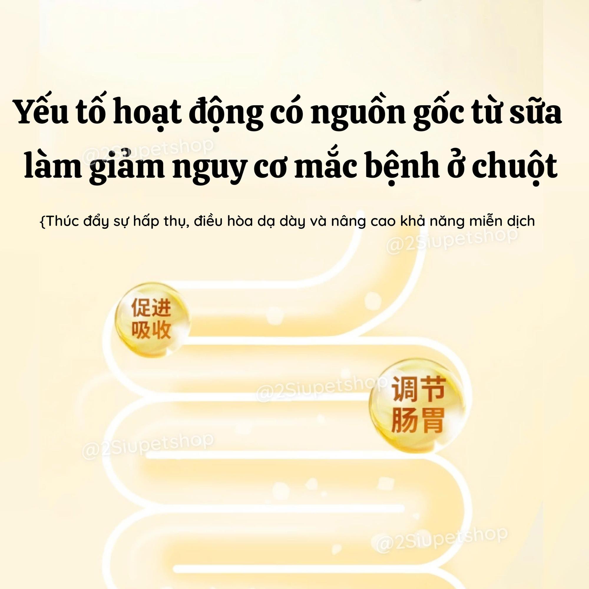 Pudding Sữa Dê Gjo-duoc-ban-tai-2Siupetshop