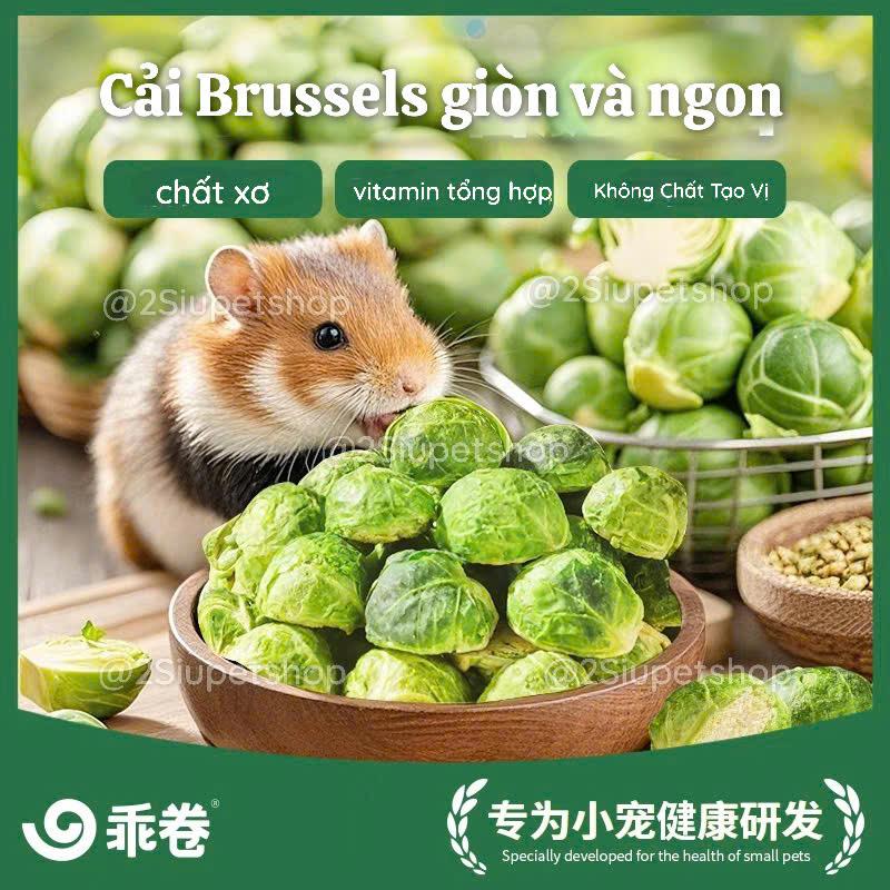 Bắp Cải Mini -Gjo [20g]-duoc-ban-tai-2Siupetshop