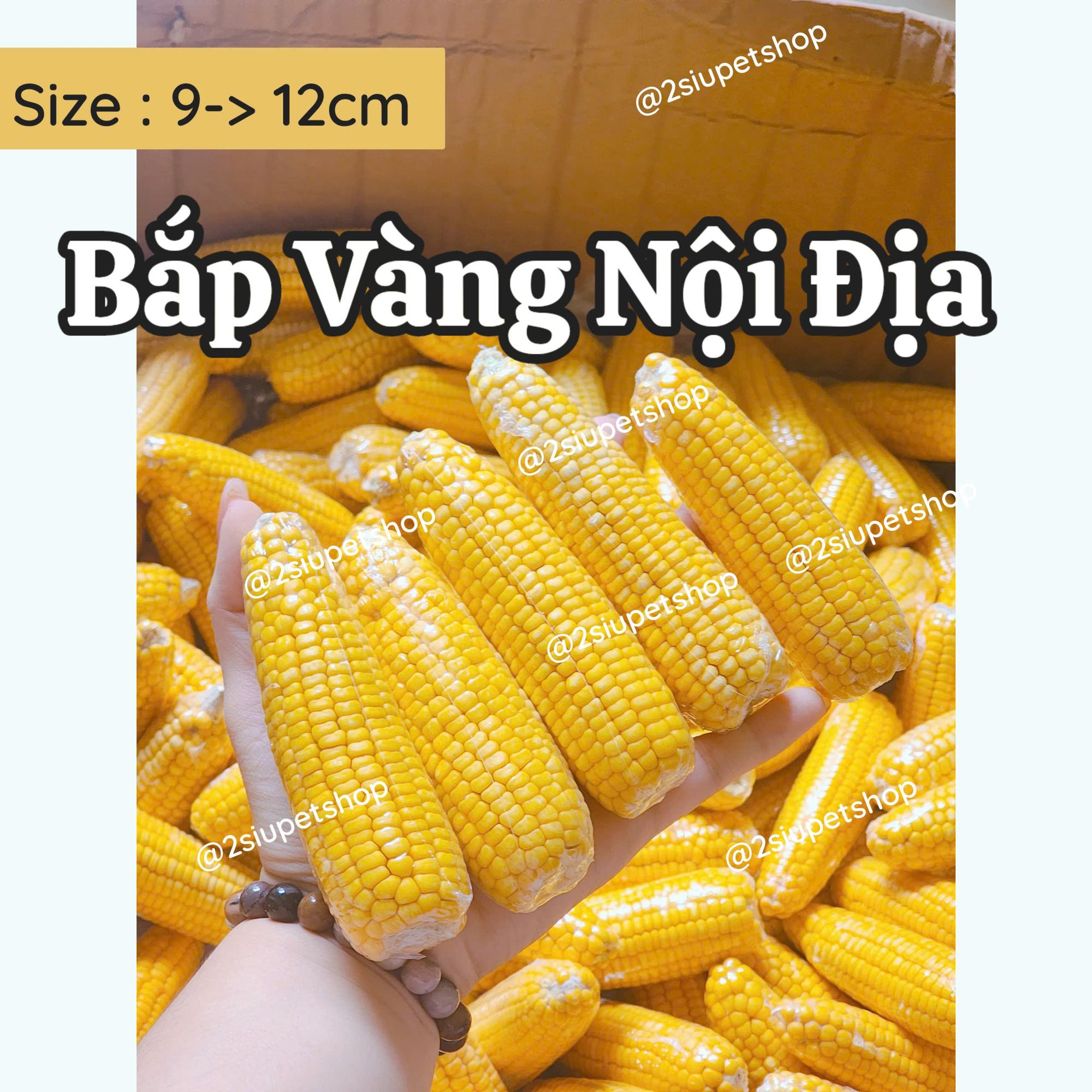 Bắp Vàng mài răng nội địa [ size 10-12 cm]-duoc-ban-tai-2Siupetshop