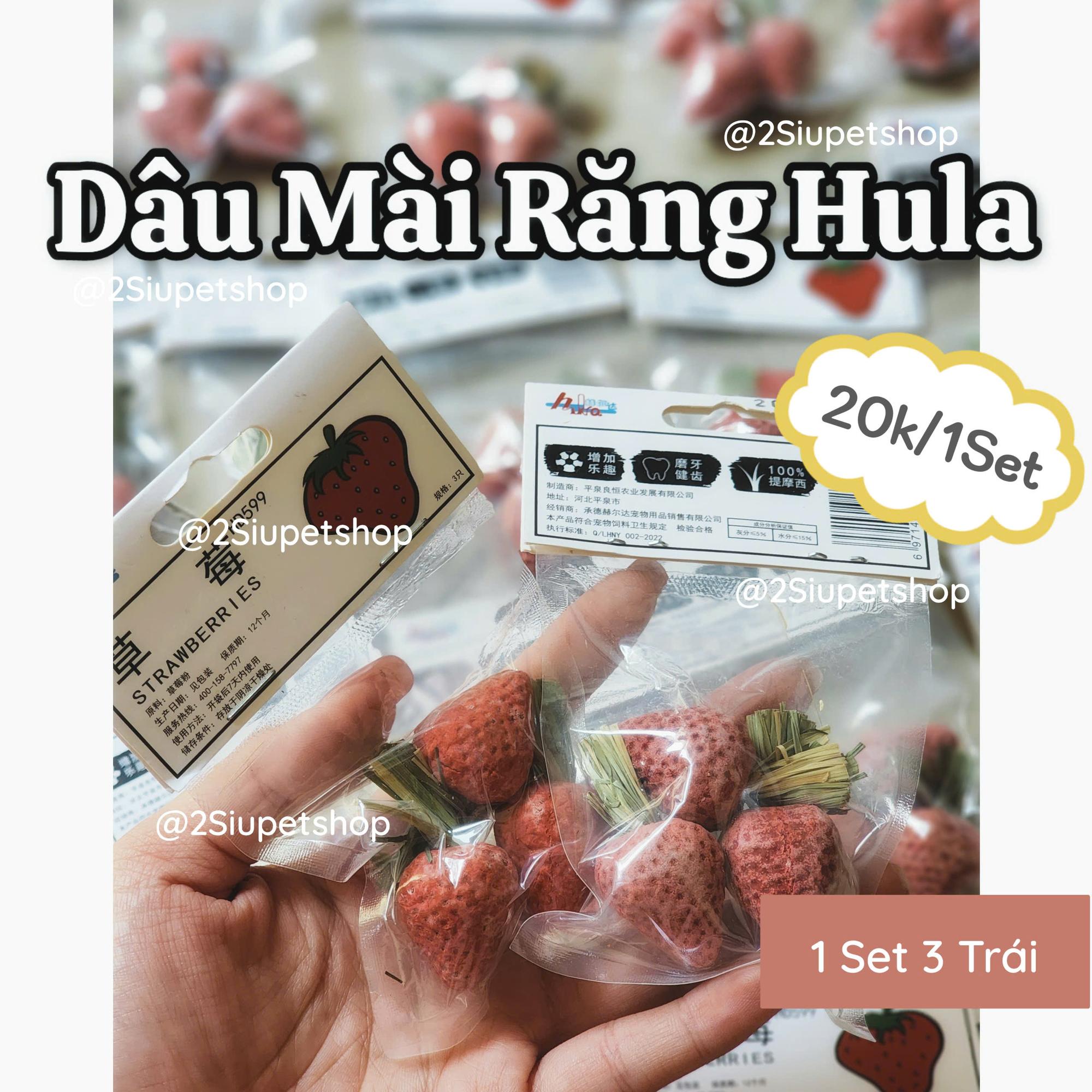 Dâu Hula[3 Trái]-duoc-ban-tai-2Siupetshop