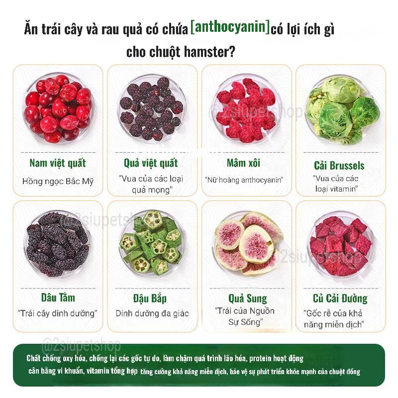 Guaijuan 8 loại trái cây-duoc-ban-tai-2Siupetshop