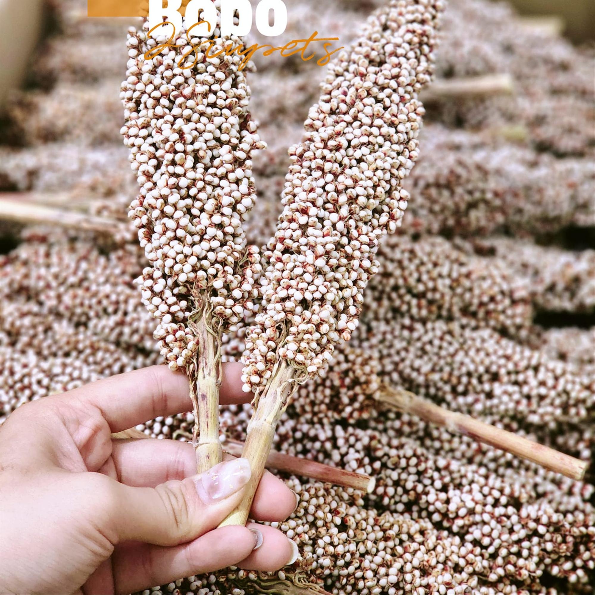 100g Bobo-duoc-ban-tai-2Siupetshop