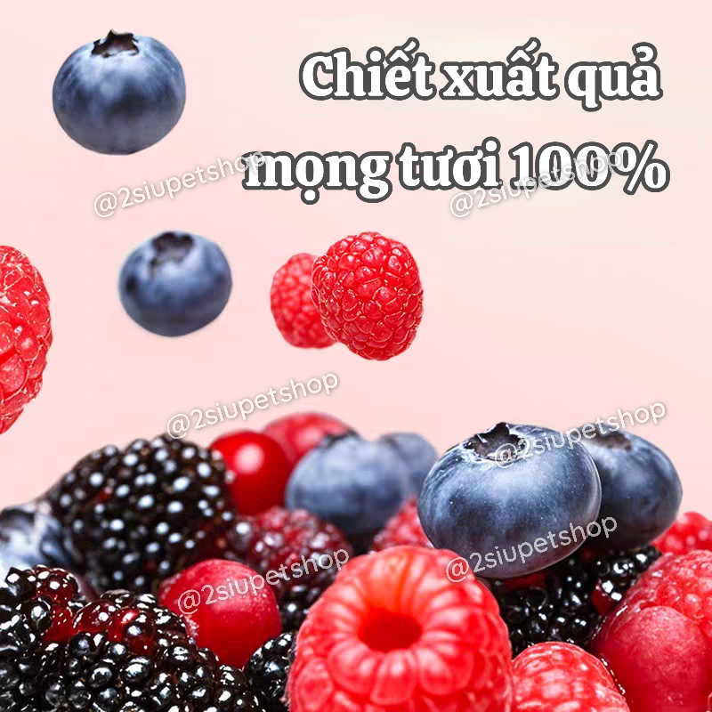 [PET SNACK] Việt quất + Mâm xôi + Dâu tằm + Nam việt quất sấy lạnh- 40g-duoc-ban-tai-2Siupetshop