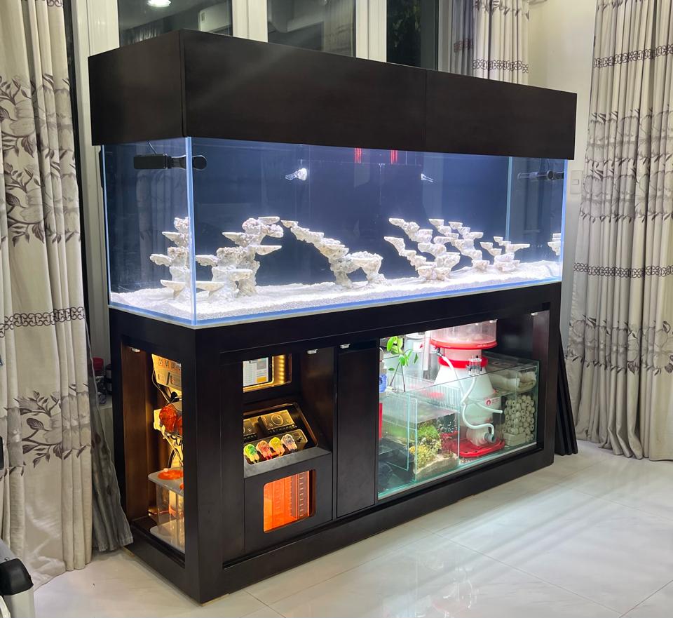 Hồ 200 x 60 x 60 Vip-duoc-ban-tai-Yuna Fish(Gò Vấp)