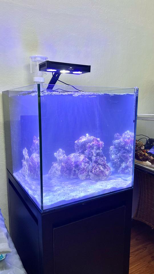 ❗Combo hồ lọc vách (kt 60x45x45)-duoc-ban-tai-Yuna Fish(Gò Vấp)