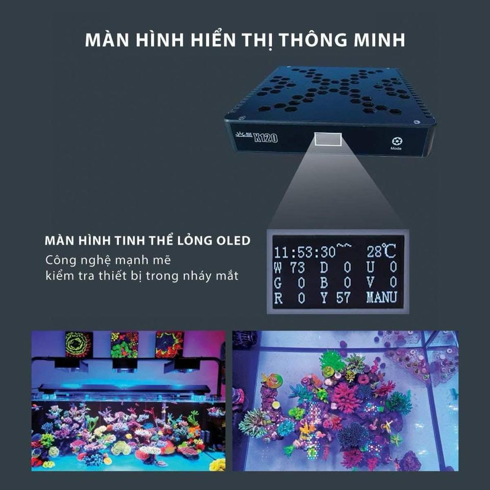 Đèn Inled x120(kèm chân)-duoc-ban-tai-Yuna Fish(Gò Vấp)