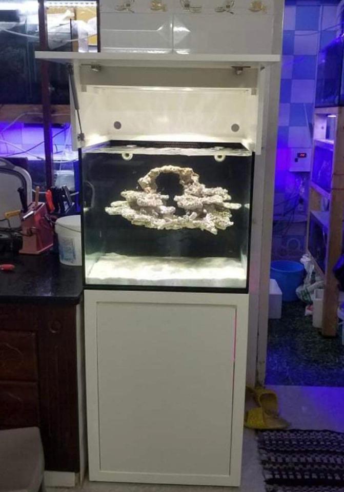 ❗Combo hồ sump 60 x 50 x 50 layout bay-duoc-ban-tai-Yuna Fish(Gò Vấp)